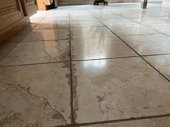 MARBLE FLOOR RESTORATION