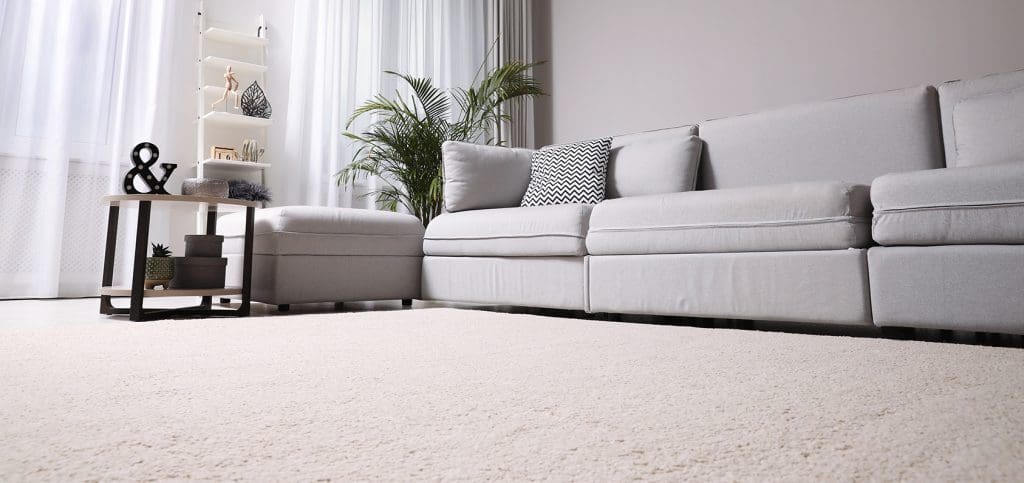 Carpet Cleaning in Austin, TX | Santa Fe Floor Care - Santa Fe Floor Care