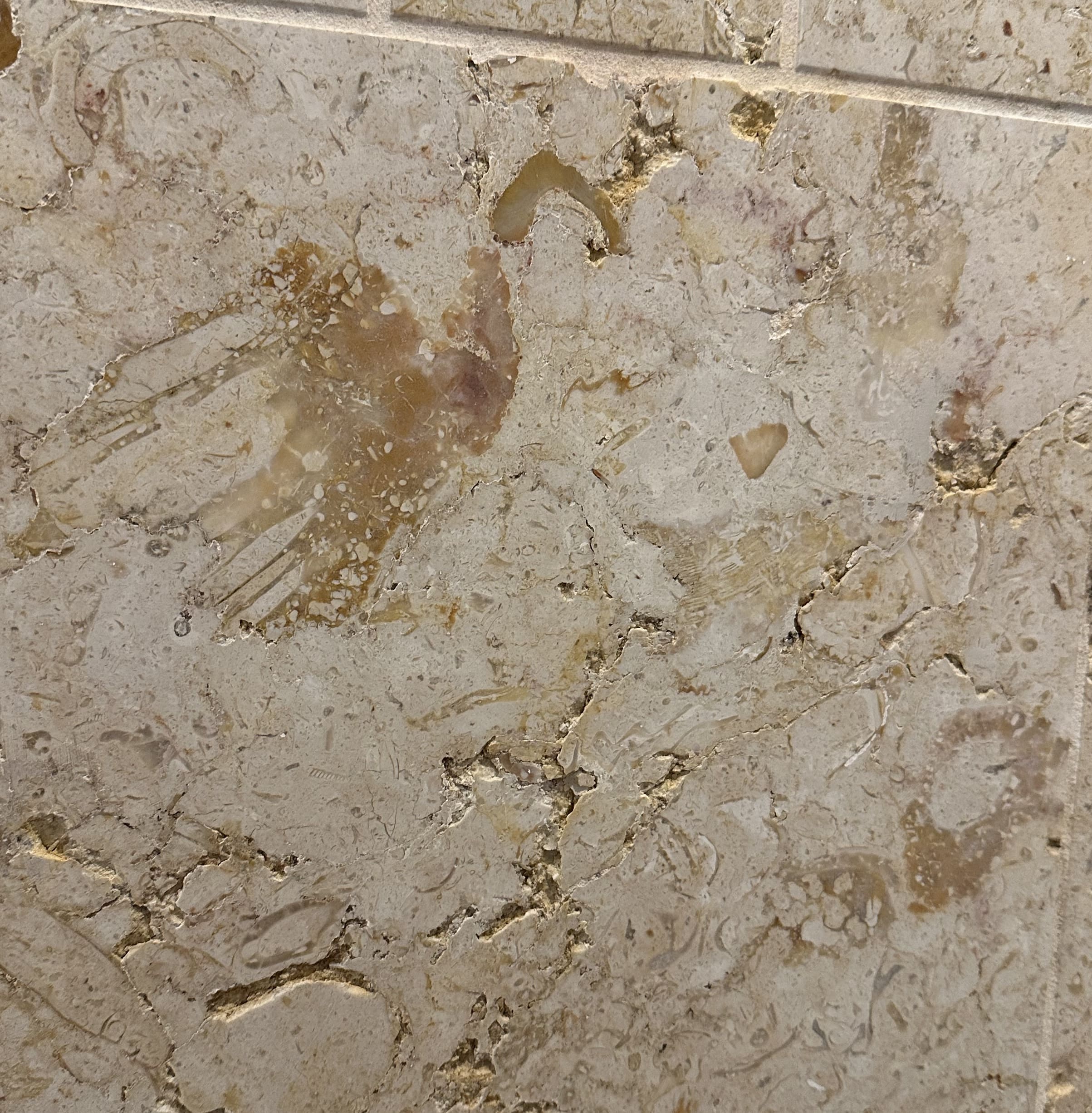 Austin Texas Shower Restoration/Natural Stone - Santa Fe Floor Care