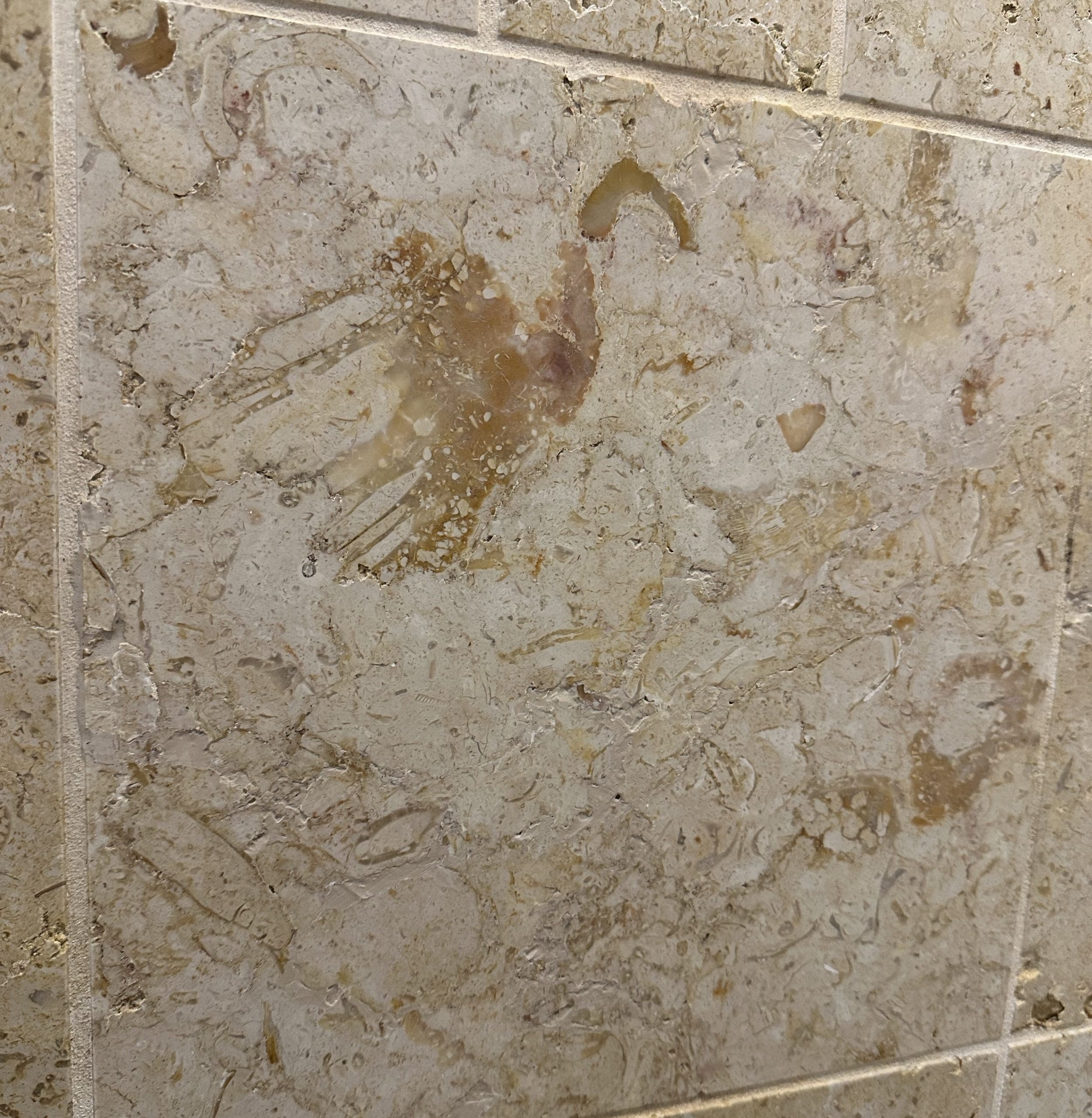 Austin Texas Shower Restoration/Natural Stone - Santa Fe Floor Care