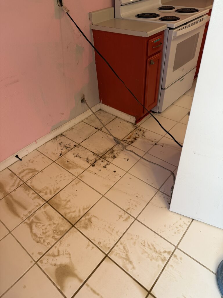 dirty-tile-before-after-deep-clean