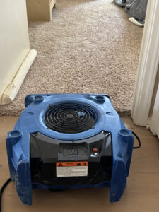 carpet-cleaning-fan-quick-dry