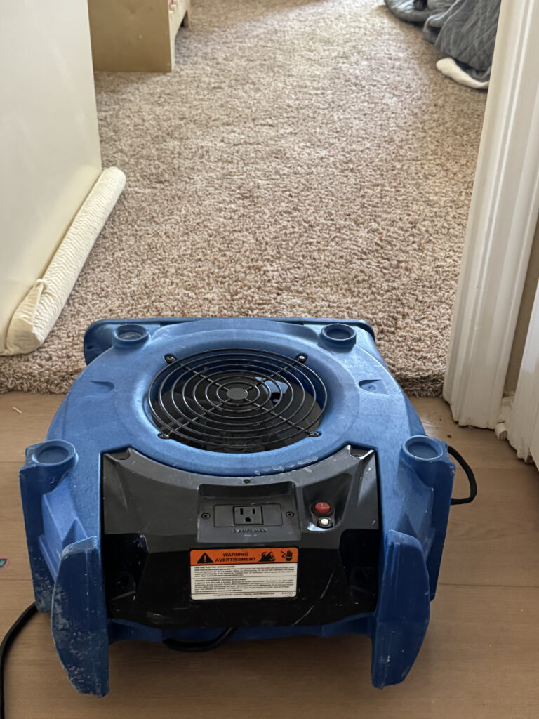 carpet-cleaning-fan-quick-dry